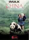 中国:与熊猫共探险